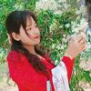 user.sg.mt
