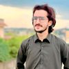 alishanabbasi9263