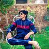 mughal875911