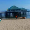 vieny_23