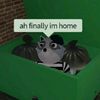 willow_kk