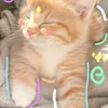 fat0_0ma1