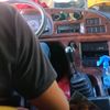 bryancalapardo6
