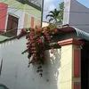 user8z78qy100t