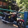 bintang.raditya4