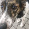 max_28066