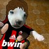 gerardmartinez364