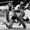 rafael77bjj0