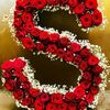 user4312453479837