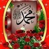 user2862842782888