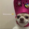 jjjgiichybiichyb