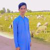 ziyadahmad507