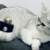chubbylucycatlover