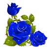 user2284713335