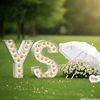you.a64