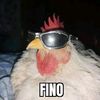 www.pollofachero.com