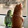 user2114290206579