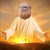 lpphoenix131