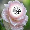 faniqurux18