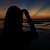 lne.ymz