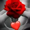 user4026379197954