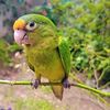 fredy.peralta11