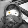 wildanyapp