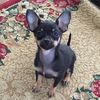 leighandbrody222