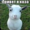 mintie.lol