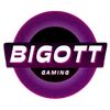 bigott_gaming