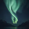 vipyingsu98