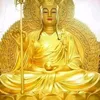 loan.tran8687