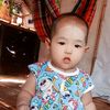 phyu36636