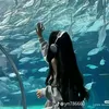 hoai_ann710