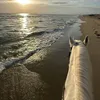 _sarra_77