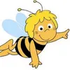 susannamino