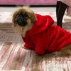 marwa.moussa58