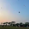 banhbeo_1305