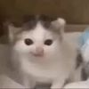userxaoivcfwi6