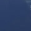 zzzzzzzz123456787