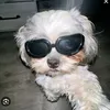 __urluvvsunny