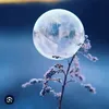 ngyntu81