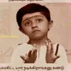 appa_2013