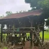 ngi.min.ni56