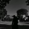 ...noname_11