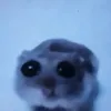 bayvyy8
