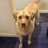 bennyboyten1