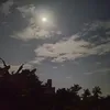 dilamnhucut