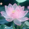 tamthai468