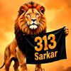 mardana302
